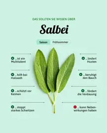 Salbei