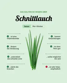 Schnittlauch
