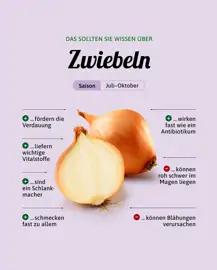 Zwiebeln