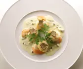 Gebratene Jakobsmuscheln in Weißweinsauce