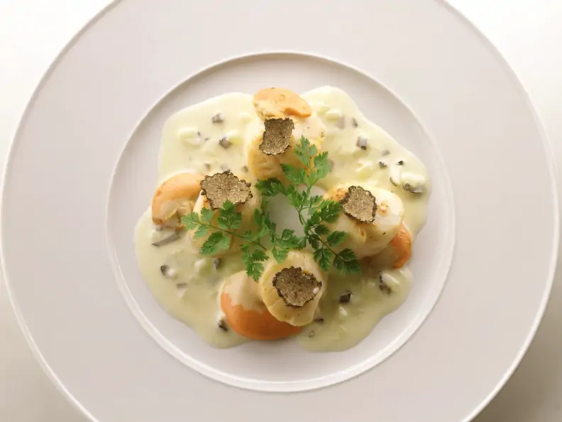 Gebratene Jakobsmuscheln in Weißweinsauce