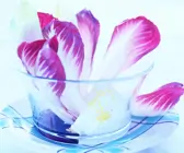 Chicorée mit Mascarpone-Creme