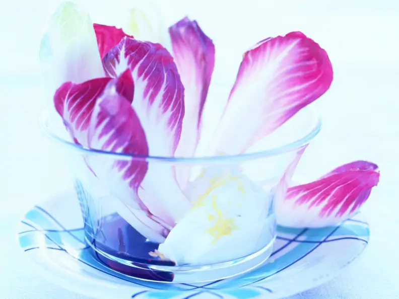 Chicorée mit Mascarpone-Creme