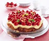 Möhren-Kuchen