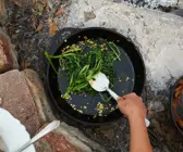 Gebratener Stängelkohl