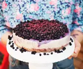 Blueberry Cheesecake