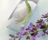 Zucker mit Salbeiblüten für Zuckerblüten