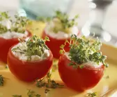Tomaten mit Frischkäse und Gartenkresse gefüllt