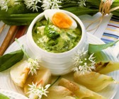 Fenchel mit Avocado-Bärlauch-Sauce