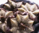 Mohnplätzchen mit Schokolade 