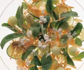 Zarter Frischkäsesalat