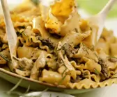 Nudeln mit Puten-Pilzragout