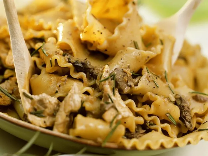 Nudeln mit Puten-Pilzragout