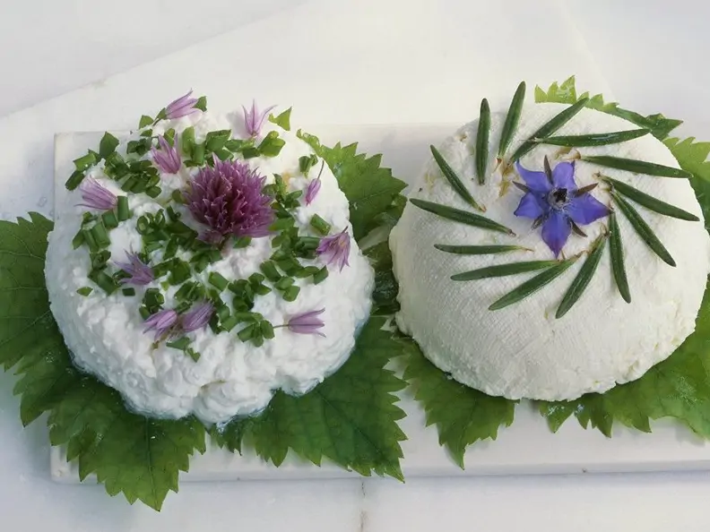 Weinblätter mit Frischkäse