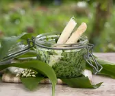 Bärlauchpesto mit Brennesseln