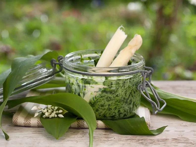 Bärlauchpesto mit Brennesseln