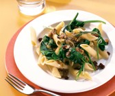 Penne
