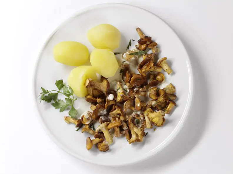 Pfifferlinge