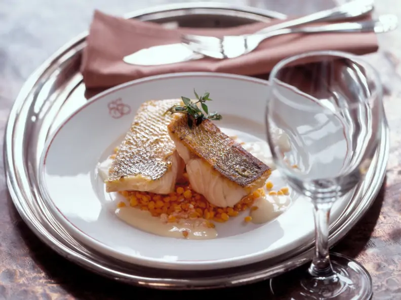 Zander auf der Haut gebraten mit roten Linsen