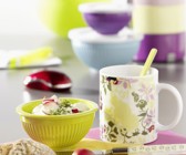 Radieschen-Kresse-Quark