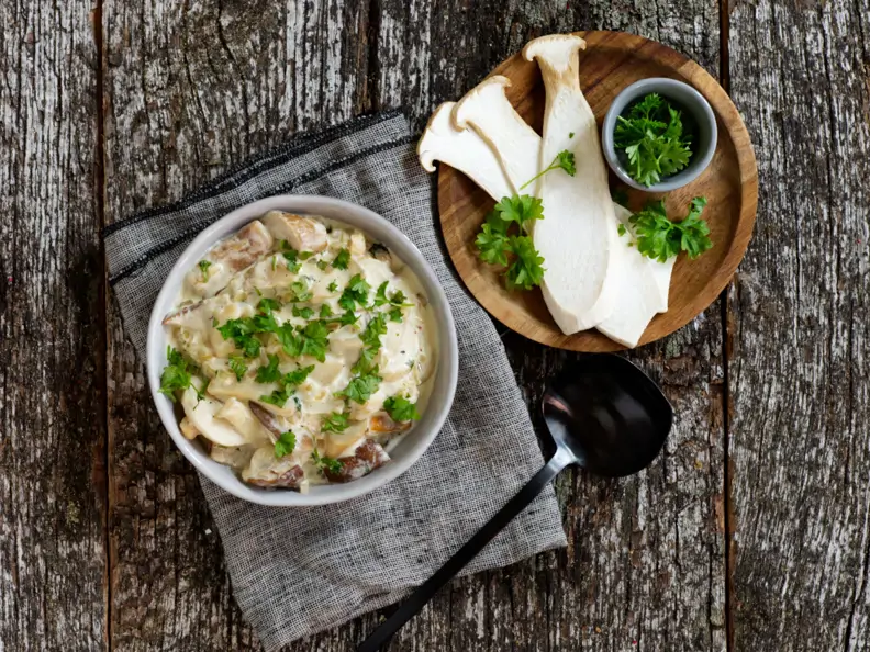 Pilzsauce mit Kräutern