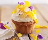 Klassische Cupcakes