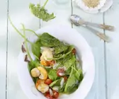Jakobsmuscheln mit Salat aus Spinat