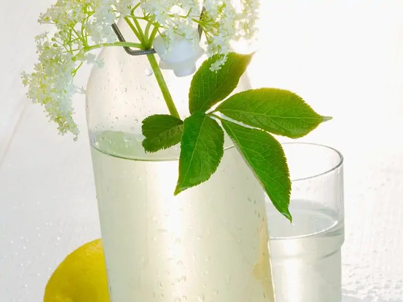 Holunderlimonade