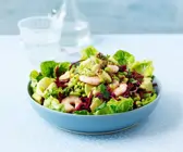 Salat mit Shrimps