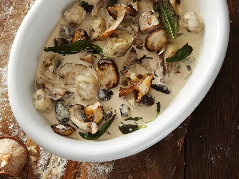 Gnocchi mit cremiger Pilzsauce