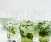 Mint Julep