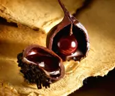Praline mit Kirschfüllung