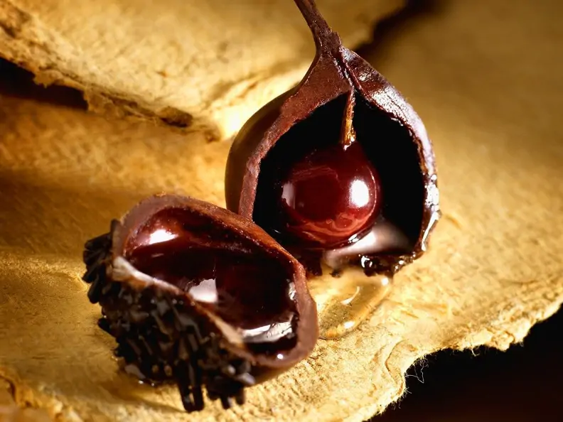 Praline mit Kirschfüllung