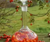 Hagebutten in Schnaps