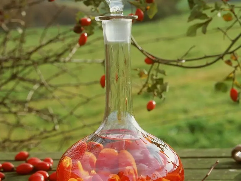 Hagebutten in Schnaps