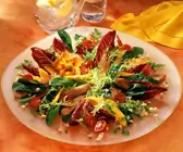 Bunter Salat mit Pute und Mango