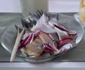 Matjes mit Zwiebeln