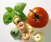 Bunte Tortellini mit Ricottafüllung