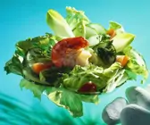 Gemischter Salat mit Garnelen