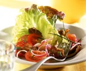 Austernpilze mit Bataviasalat und Tomaten
