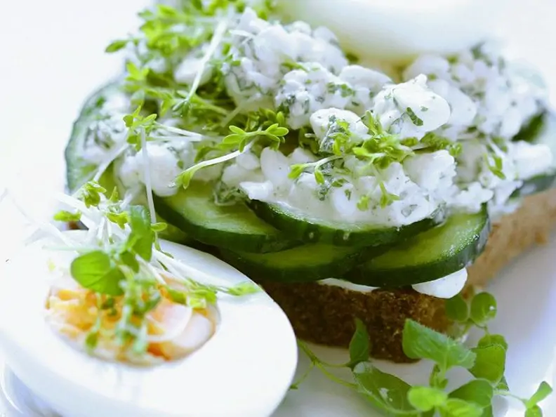 Gurken-Brot mit Hüttenkäse und gekochten Eiern