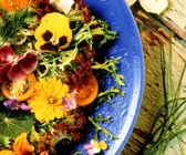 Salat mit Essblüten