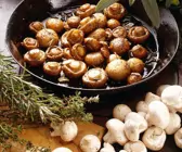 Pilzpfanne mit Kräutern der Provence