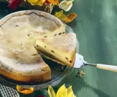 Quark-Frischkäse-Kuchen