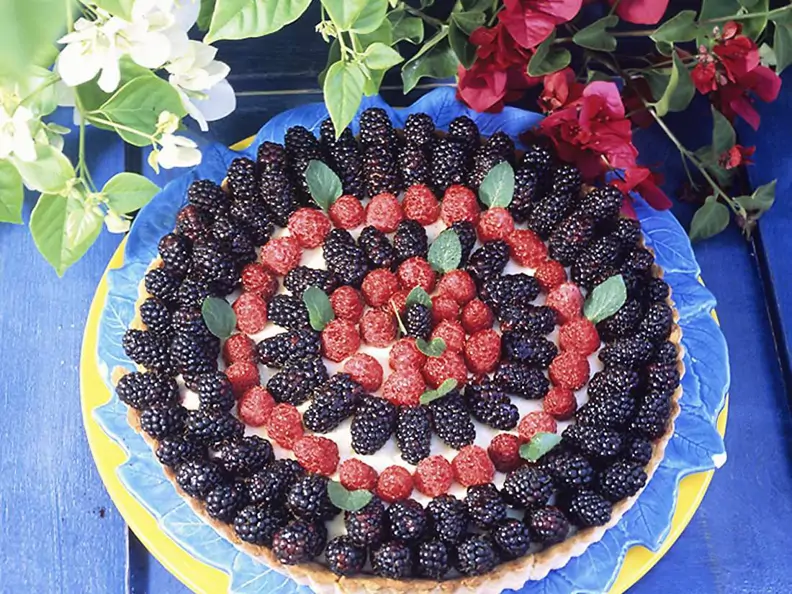 Mascarpone-Beerentarte