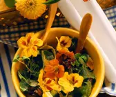 Kräutersalat mit Blüten