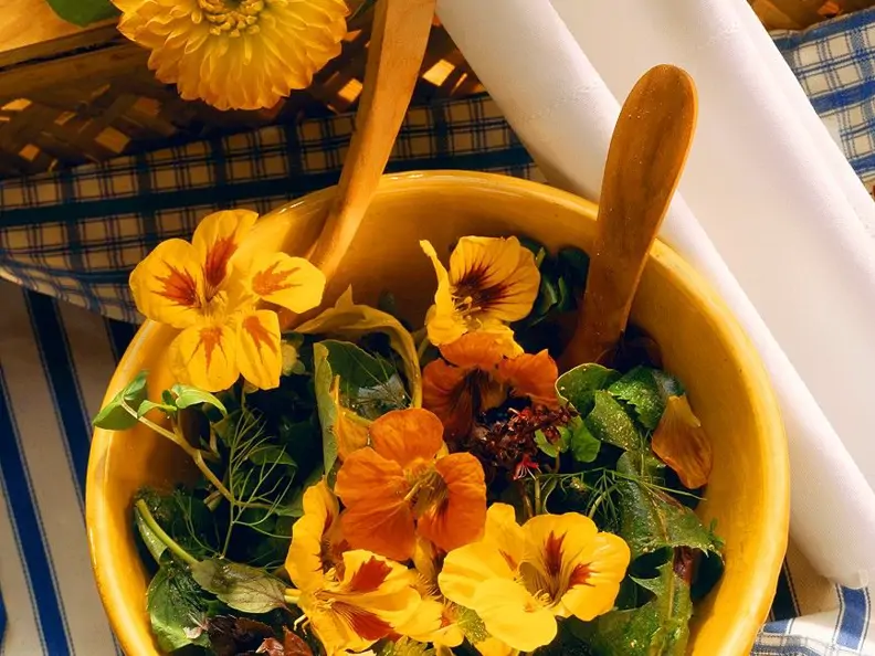Kräutersalat mit Blüten