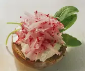 Vollkornbrot mit Frischkäse und Radieschen