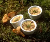 Pilzflan