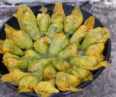 Zucchiniblüten mit Ricottafüllung
